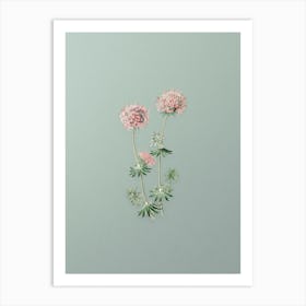 Vintage Crucianella Flower Branch Botanical Art on Mint Green n.0227 Art Print