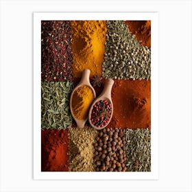 Spices And Herbs 1 Art Print