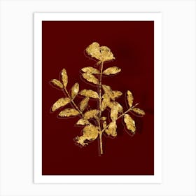 Vintage Pomegranate Branch Botanical in Gold on Red n.0371 Art Print