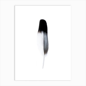 Black And White Feather Spirit Art Print