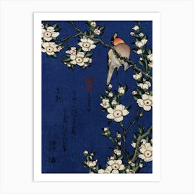 Japanese Ukiyo-E Peach Blossom Art Print