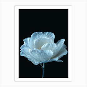 White Peony Art Print