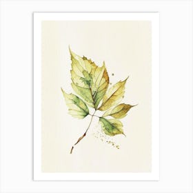 Walnuts Leaf Minimalist Watercolour Art Print