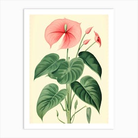 Anthurium Art Print