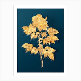 Vintage Leschenault's Rose Botanical in Gold on Teal Blue n.0112 Art Print