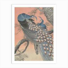 Japanese Ukiyo-E Peacocks Art Print