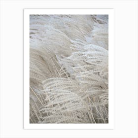 White Beige Boho Dreams Pampas Art Print