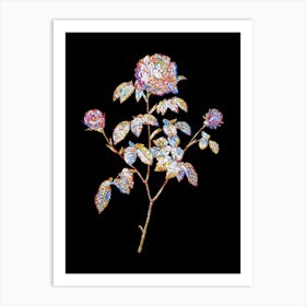 Stained Glass Agatha Rose in Bloom Mosaic Botanical Illustration on Black n.0237 Art Print