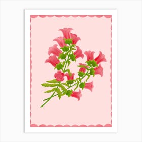 Pink Calampula Flower Art Print