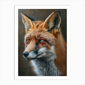 Red Fox 17 Art Print