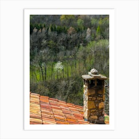 Tiled Roof 202304161212127pub Art Print