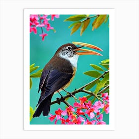 Hermit Thrush Tropical bird Art Print