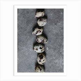 Quail Eggs 13 Art Print