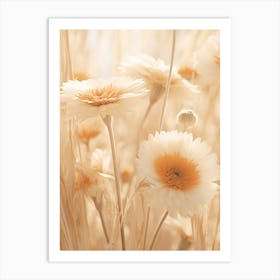 Boho Dried Flowers Gerbera Daisy 3 Art Print