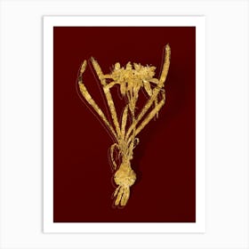 Vintage Sea Daffodil Botanical in Gold on Red n.0331 Art Print