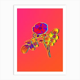 Neon Japanese Rose Botanical in Hot Pink and Electric Blue n.0169 Art Print
