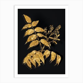 Vintage Tree of Heaven Botanical in Gold on Black n.0052 Art Print