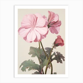 Floral Illustration Geranium 1 Art Print