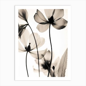 Black And White Flower Silhouette 7 Art Print