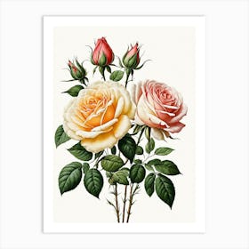 Vintage Galleria Style Rose Art Painting 18 Art Print