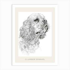 Clumber Spaniel Dog Line Sketch 3 Poster Art Print