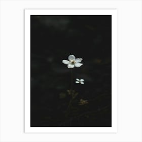 White Flower In The Dark 33 Art Print