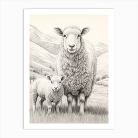 Black & White Illustration Of Highland Sheep With Lamb 2 Art Print