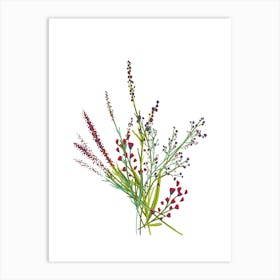 Bouquet Of Wild Flowers Art Print