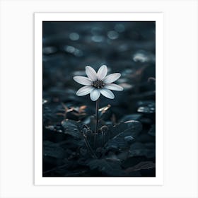 Dark Flower 36 Art Print