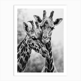 Two Giraffe Together Pencil Drawing 1 Art Print