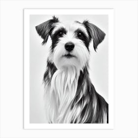 Silky Terrier B&W Pencil Dog Art Print