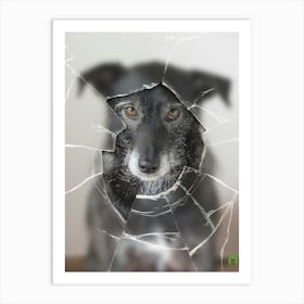 Dog Through A Broken Window 20170604 1058rt1pub Art Print