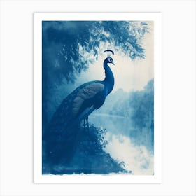 Peacock By The River Cyanotype Inspired 2 Art Print