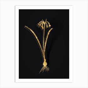 Vintage Brandlelie Botanical in Gold on Black n.0453 Art Print