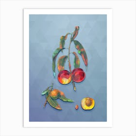 Vintage Walnut Peach Botanical Art on Summer Song Blue n.0927 Art Print