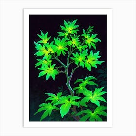 Green Leaves Of A Tree Art Print