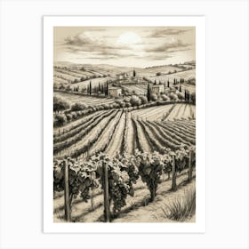 Tuscany Vineyard Art Print