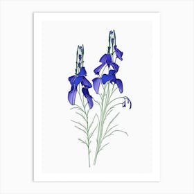 Delphinium Floral Minimal Line Drawing 1 Flower Art Print