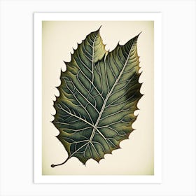 Ash Leaf Vintage Botanical 1 Art Print