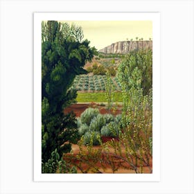 High Mountain Olive Trees Art Print