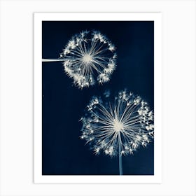 Dandelions 1 Art Print