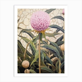 Flower Illustration Globe Amaranth 1 Art Print