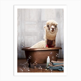 Llama In A Bathtub Art Print