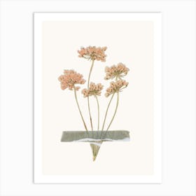 Dried Flowers Art Print