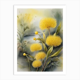 Australias National Flower Yellow Wattle 1 Art Print