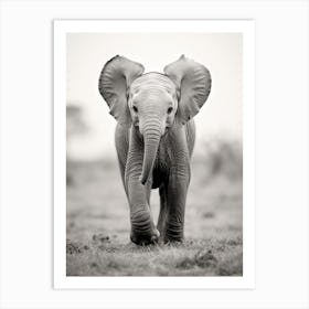 Baby Elephant In The Wild Art Print