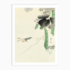 Bird At Flowering Bean Plant (1900 1930), Ohara Koson Art Print