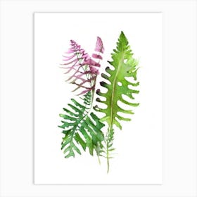 Interrupted Fern Wildflower Watercolour 2 Art Print