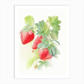 Everbearing Strawberries, Plant, Pastel Watercolour Art Print