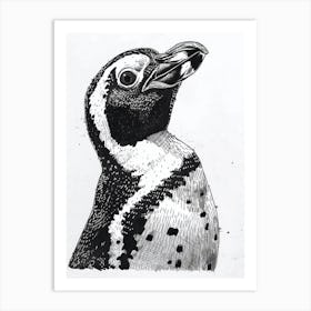 African Penguin Staring Curiously 2 Art Print